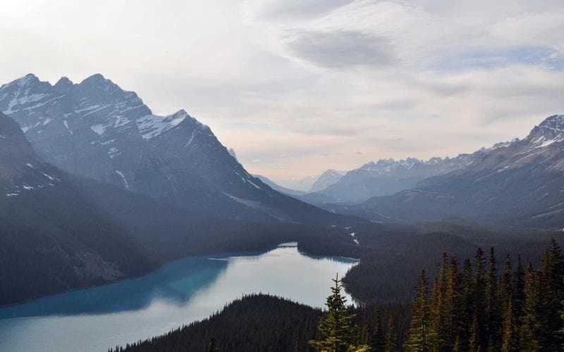 2026 전기차 시장 전망: 보조금 축소와 충전 인프라의 변화