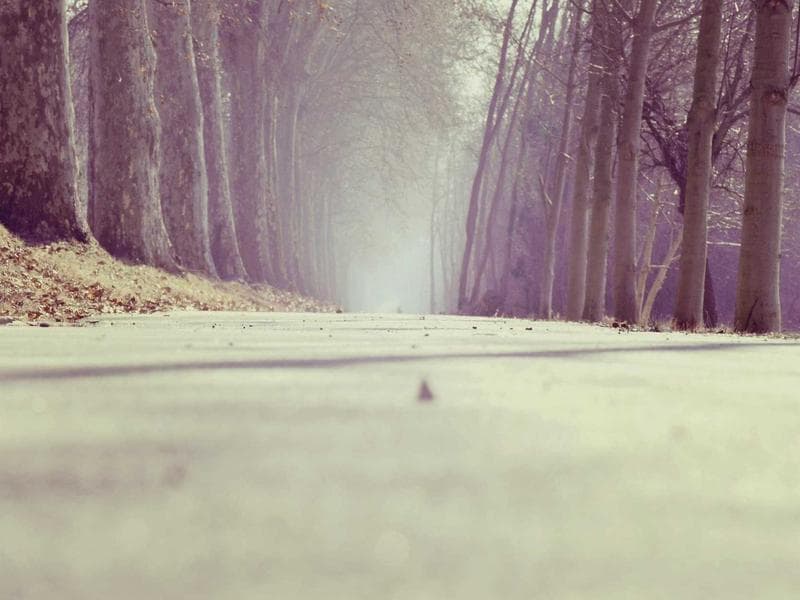2026년 청년도약계좌 완벽 가이드: 가입 조건부터 최대 혜택 받는 법
