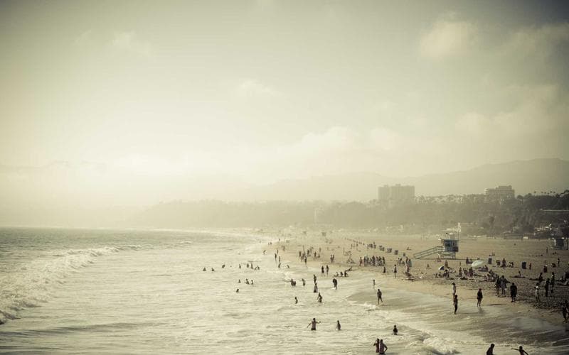 마그네슘 영양제, 산화 vs 구연산 vs 킬레이트 완벽 비교