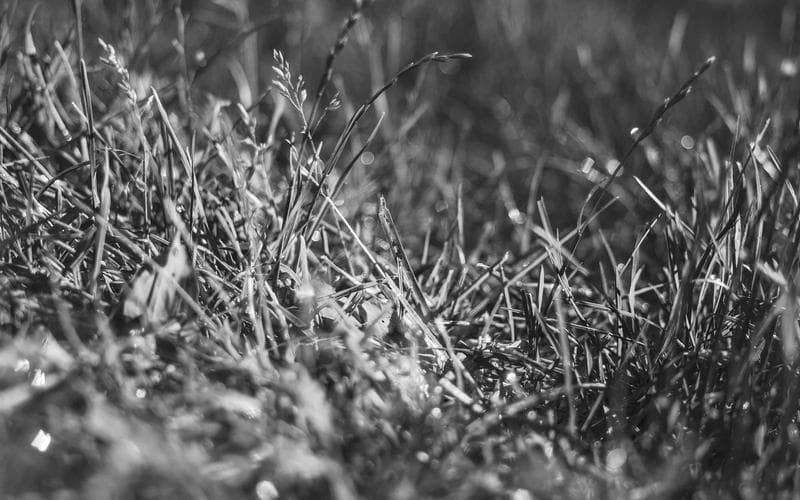 아침 1시간이 하루를 결정한다: 미라클 모닝 현실적인 실천법