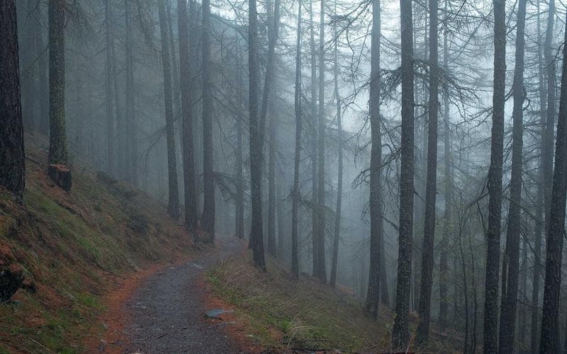 리모트 워크의 진화: 2026년 우리가 일하는 방식의 변화와 생존 전략
