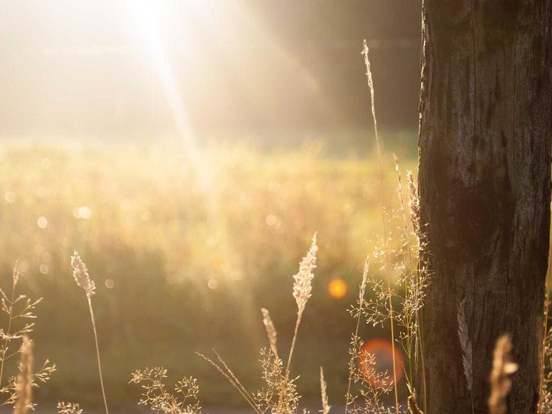 AI와 함께하는 건강한 요리: 2026년 스마트 키친 활용법