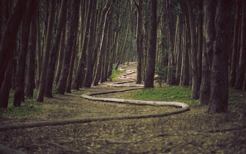 학생을 위한 마음 챙김: 2026년 학습 효율을 높이는 명상법